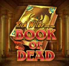 Alvynn | Book of Dead Slot